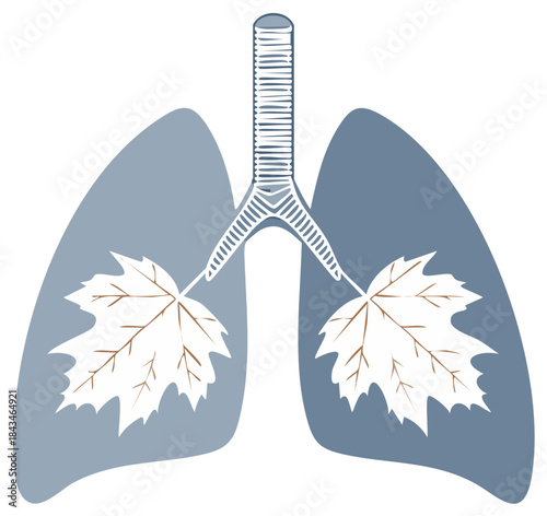 Lungs with Maple Leaves Inside