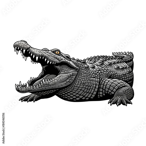 Detailed illustration of a powerful crocodile with its mouth wide open, showcasing sharp teeth and scaly skin texture.