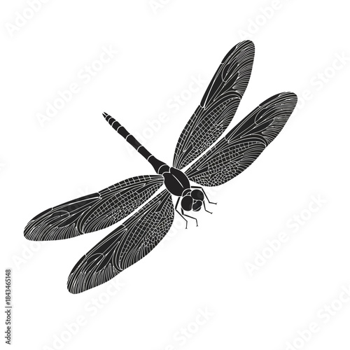 Detailed black and white illustration of a dragonfly with intricate wing patterns, viewed from above, showcasing its delicate structure.