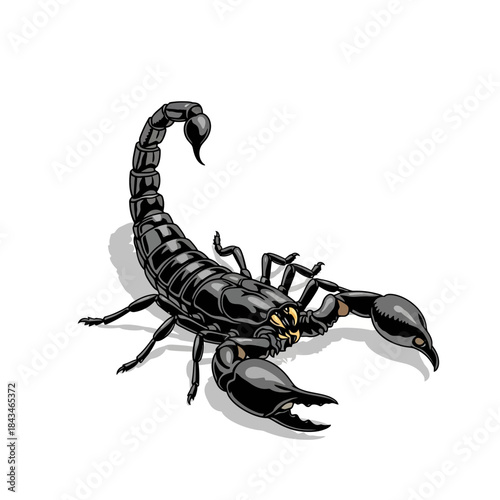 A detailed illustration of a black scorpion with its tail raised, casting a shadow on a white background.