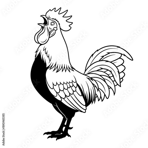 Black and white illustration of a crowing rooster with detailed feathers and comb.