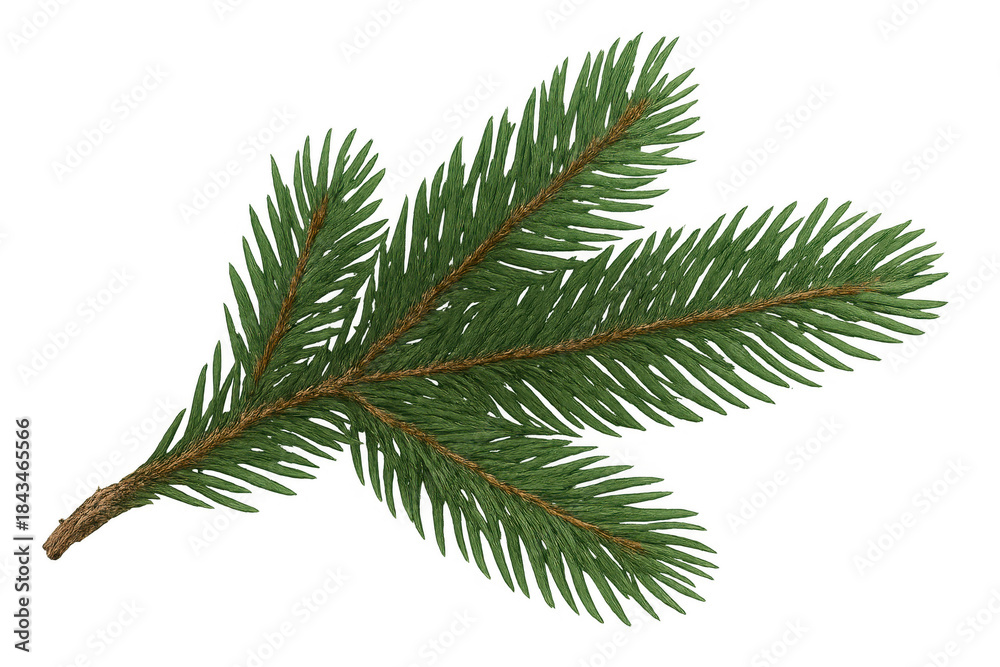 Obraz premium Evergreen fir branch with green needles, isolated with transparent background, symbolizing winter holidays and christmas decoration