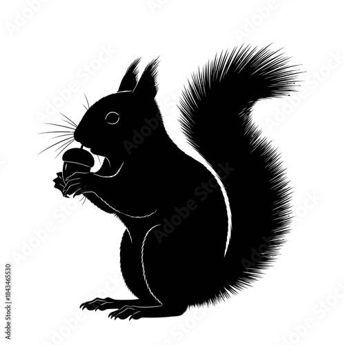 Black silhouette of a squirrel standing on its hind legs, holding an acorn in its front paws, with a bushy tail.