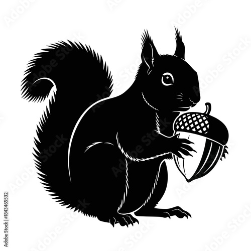 Black silhouette of a squirrel holding an acorn, detailed graphic illustration.