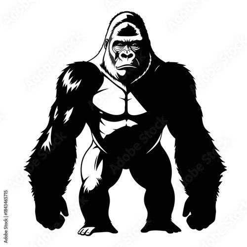Powerful black and white illustration of a strong gorilla standing upright, showcasing its muscular physique.