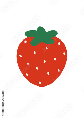 Colorful Fruit Vector Illustration 