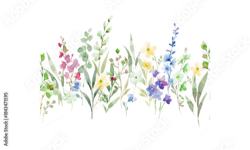 Delicate Flowers on Transparent Background