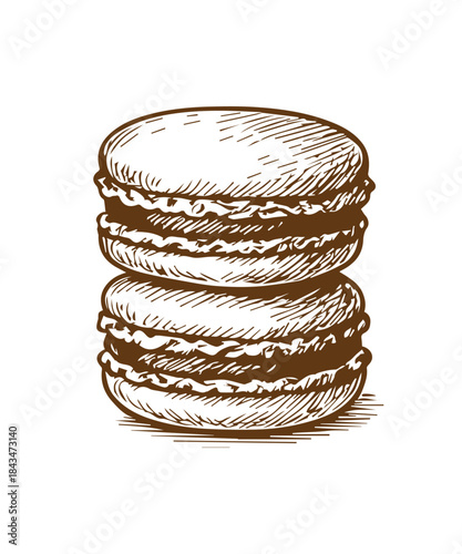 Simple hand drawn macaroon cookie sketch, engraved sweet food illustration.
