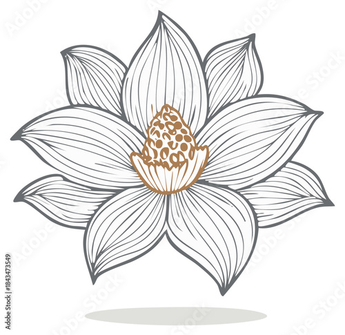 Stylized Lotus Flower Outline Drawing with Textured Brown Core and Delicate Petals