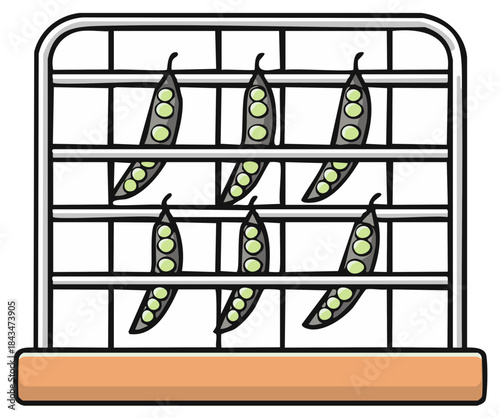 Cartoon illustration of green pea pods on a drying rack for food preservation and storage.