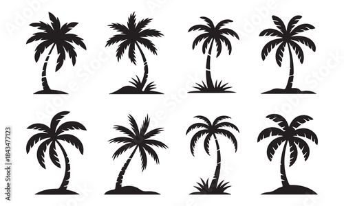 Black palm trees set isolated on white background. Palm silhouettes. Design of palm trees for posters, banners and promotional items. Vector illustration	
