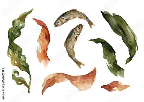 Watercolor-style Japanese soup stock illustration for Japanese cuisine／出汁・昆布・わかめ・鰹節・いりこ