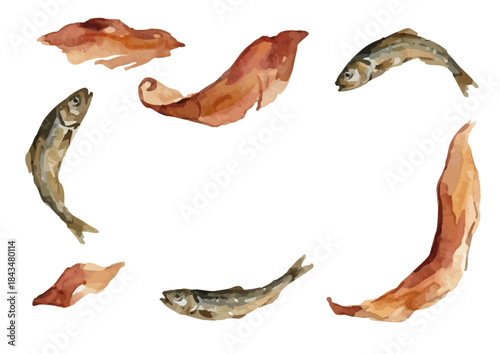 Watercolor-style Japanese soup stock illustration for Japanese cuisine／出汁・鰹節・いりこ