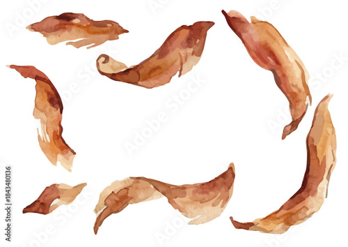 Watercolor-style Japanese soup stock illustration for Japanese cuisine／出汁・鰹節