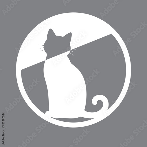 black and white cats