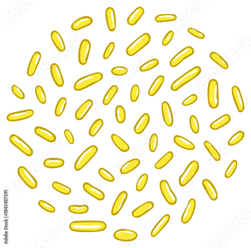 Microscopic view of yellow probiotic bacteria or germs in a simple cartoon illustration