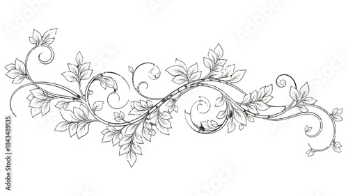 Elegant black and white botanical scroll design with intricate leaves and swirling vines, a classic decorative element for various artistic applications.