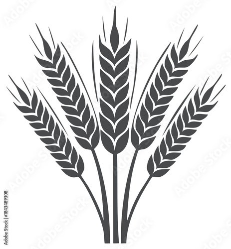 Cluster of dark gray wheat ears arranged in a stylized fan shape against a white background