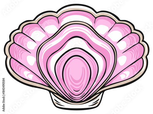 Vibrant pink open seashell illustration showcasing marine life beauty and a shiny interior
