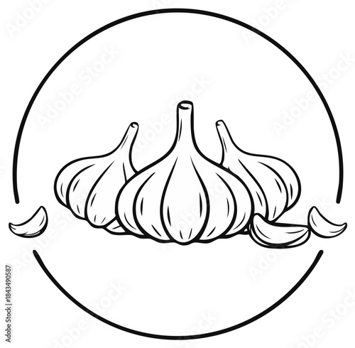 Black and white illustration of garlic bulbs and cloves within a circle, healthy food