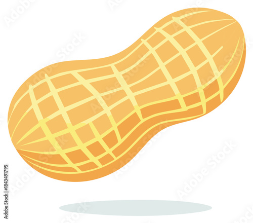 Vibrant Stylized Peanut Illustration Healthy Plant Based Snack Food Vector Art