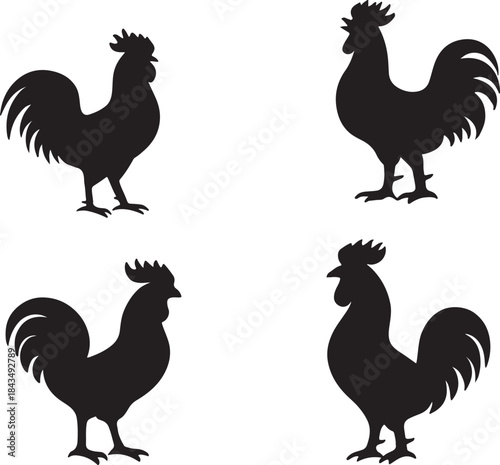Set of Four Detailed Rooster or Cock Black Silhouettes Farm Animal Icons