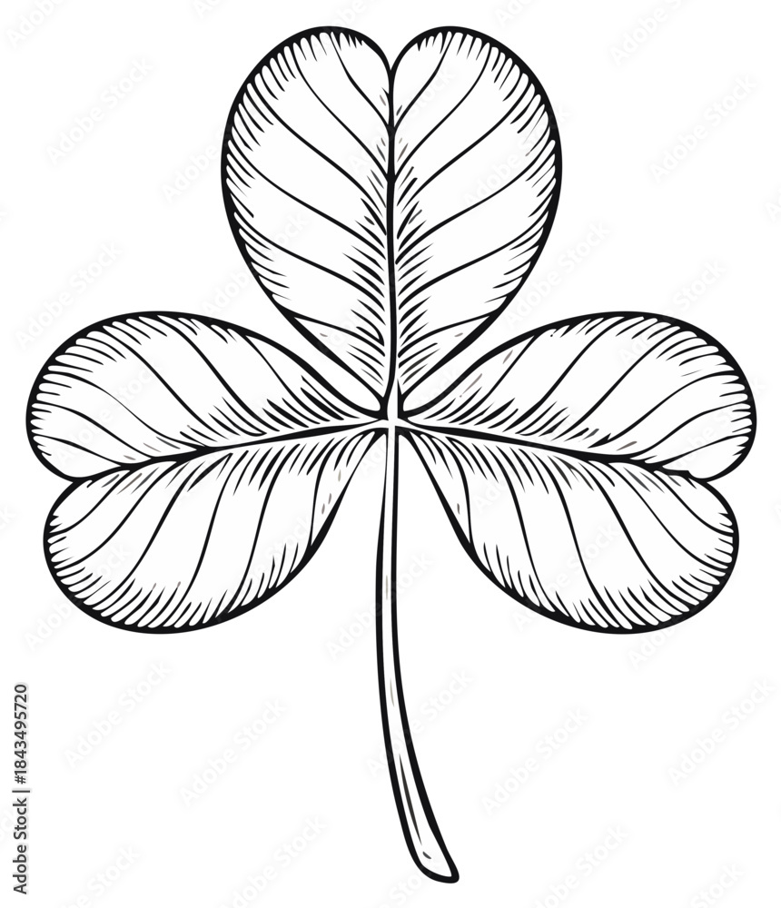 Fototapeta premium Black and white line drawing of a shamrock with three heart shaped leaves and a slender stem