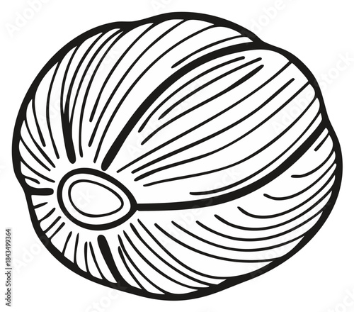 Stylized black and white line art illustration of an ocean spiral seashell marine mollusk