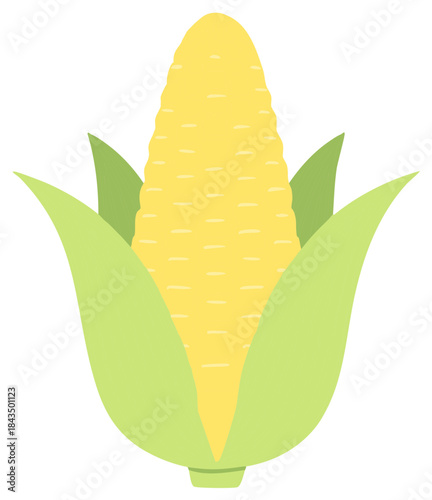Fresh Yellow Corn Cob with Green Leaves Illustration
