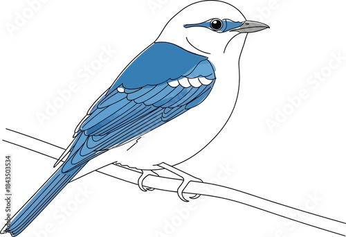 Colorful Bird Perched on a Branch: A vibrant bird, with a striking display of color, finds its perch on a delicate branch, observing the world.