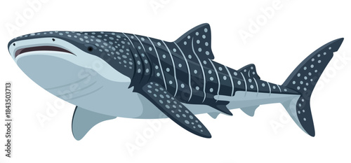 Whale Shark Illustration Gentle Giant of the Ocean Majestic Marine Wildlife