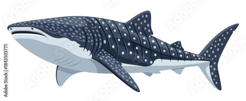 Illustration of a majestic whale shark with distinctive spots swimming gracefully against a white background