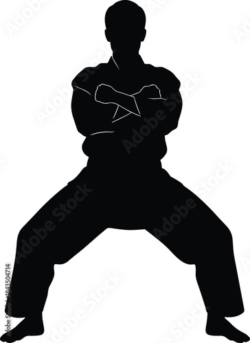 Martial arts silhouette stance, strong pose icon, discipline and focus figure, self-defense training, black illustration, combat readiness graphic