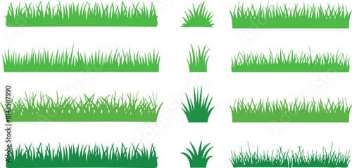 Green Grass Vector Borders and Tufts Collection for Nature Design -grass, green, vector, nature, lawn, meadow, field, spring, border, plant, garden, summer, illustration, 