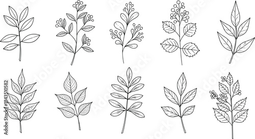 Cropped bomber jacket flat technical fashion vector illustration, front and back view, snap closure, ribbed trims, zipper pocket sleeve, detailed CAD template.