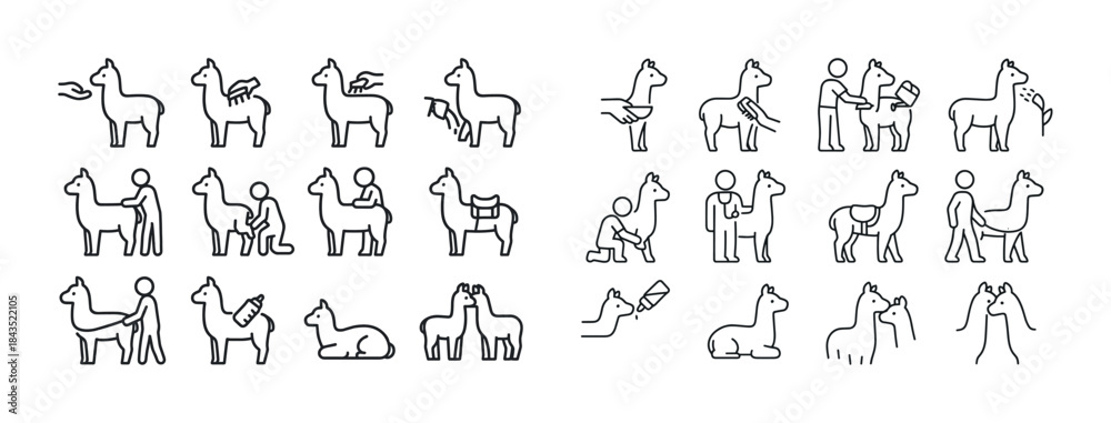 Fototapeta premium Stick figures interacting with llamas in various activities and