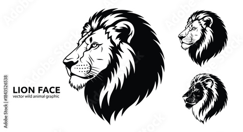 Majestic Lion Head Profile Vector Illustration Set in Monochrome; Detailed Wild Animal Graphic Design with Stylized Mane in Black and White