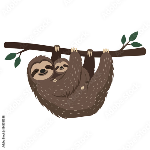 Cute mother and baby sloth hanging on a tree branch. Vector illustration of happy family love and wildlife concept.