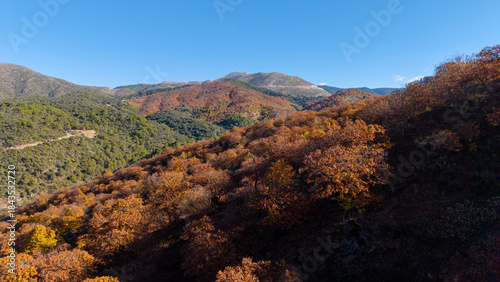 Bonita vista aérea del bosque del cobre en el valle del genal, Andalucía