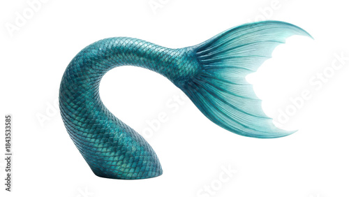 Isolated Realistic Blue Green Mermaid Tail with Textured Scales isolated PNG with Transparent Background