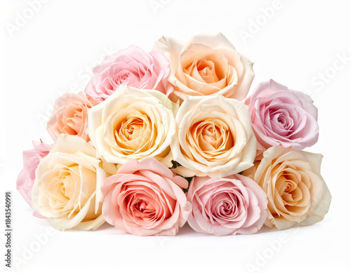   Soft Pastel Rose Bouquet on White Background, Romantic and Elegant Floral Composition