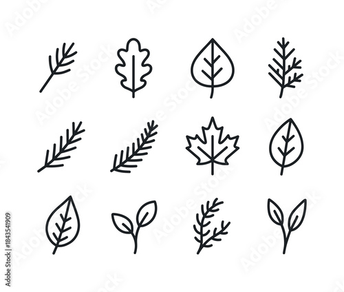 Forest Leaf Icon Set. Forest leaves. Line icon set of Forest lea