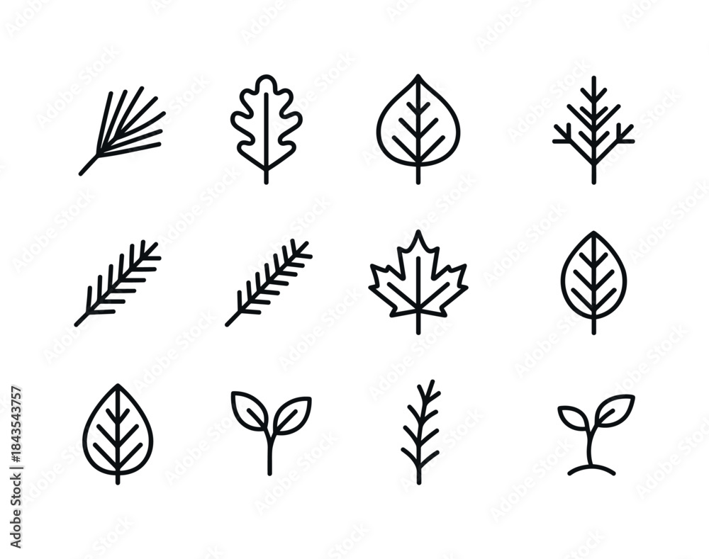 Fototapeta premium Forest Leaf Icon Set. Forest leaves. Line icon set of Forest lea
