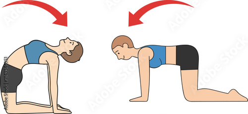Exercise diagram illustrating proper form for improving back flexibility and strength while kneeling on all fours for physical fitness and wellness.