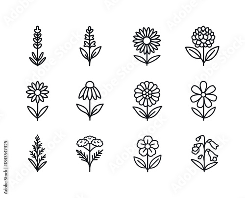 Pollinator Plant Icons. Pollinator Plants. Line icon set of Poll