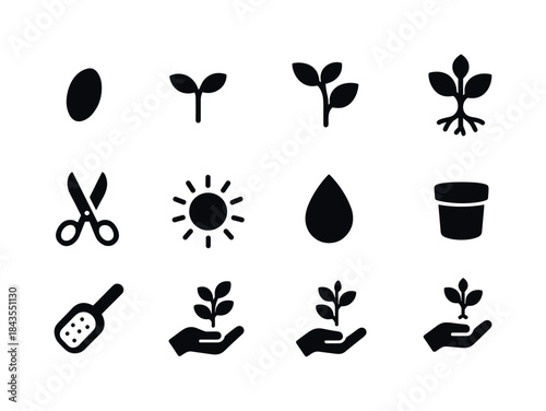 Herb Growth Icons. Herb growing stages. Solid icon set of Herb g
