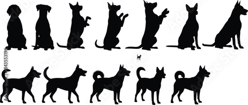 Collection of dog silhouettes in various sitting, standing, and walking poses, showcasing pet behavior, canine movement, playful actions, and animal illustration for vector design