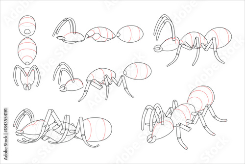 Breaking down ant shape using simple manipulated forms