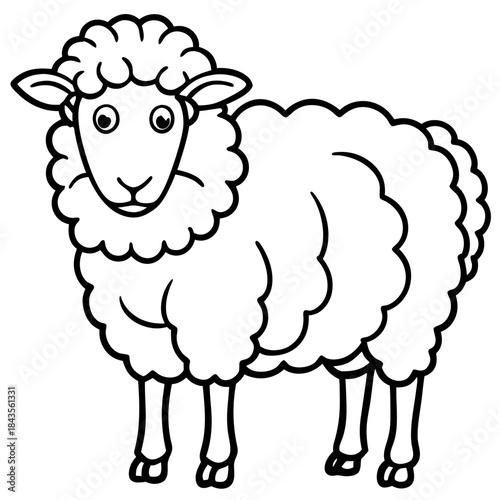 Woolly line art vector