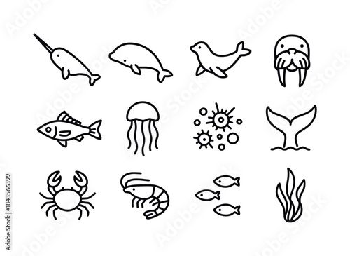 Arctic Sea Life Icons. Arctic sea life. Line icon set of arctic